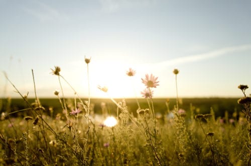 Sunrise - BCMs Funeral Directors