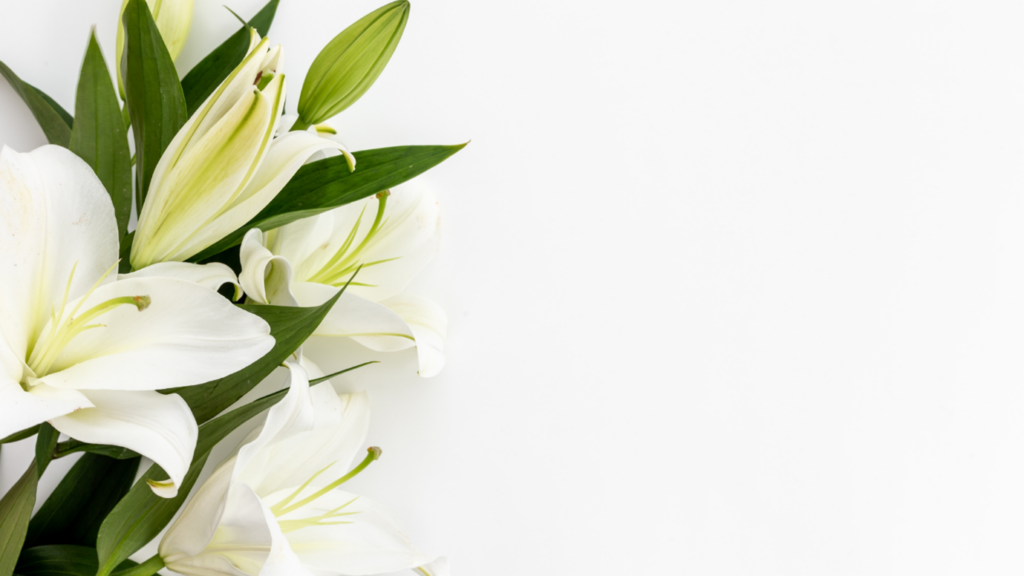 Lilies - BCM Funeral Directors