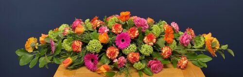 Orange Pink flowers